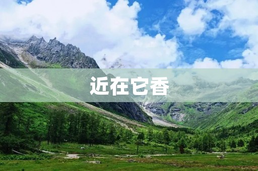 近在它香：一种神奇的香气魔力