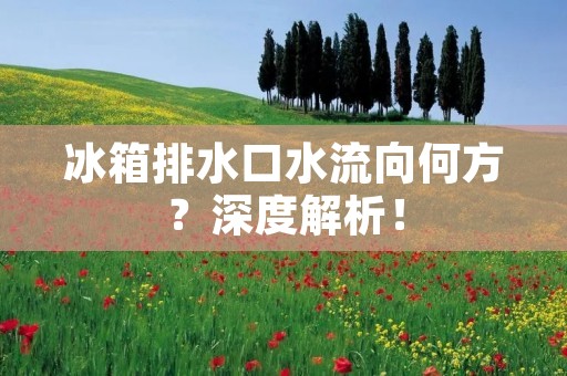 冰箱排水口水流向何方?深度解析! 冰箱排水口水流向何方?深度解析!