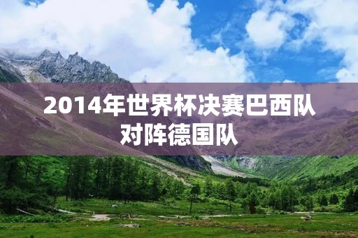 2014年世界杯决赛巴西队对阵德国队：巴西球迷的噩梦
