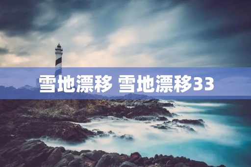 雪地漂移 雪地漂移33