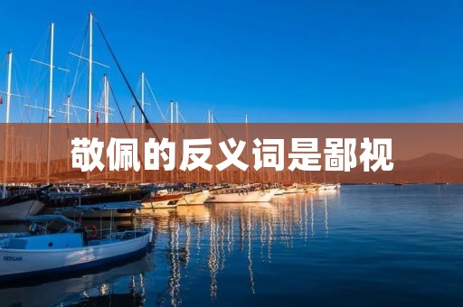 敬佩的反义词是鄙视