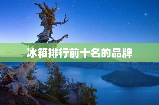冰箱排行前十名的品牌:为你推荐最优质的冰箱品牌 冰箱排行前十名的品牌:为你推荐最优质的冰箱品牌