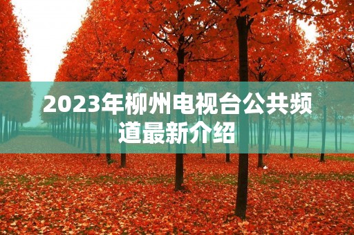 2023年柳州电视台公共频道最新介绍