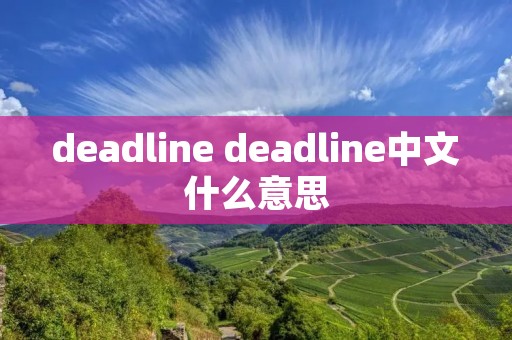 deadline deadline中文什么意思