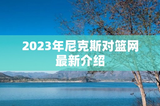 2023年尼克斯对篮网最新介绍