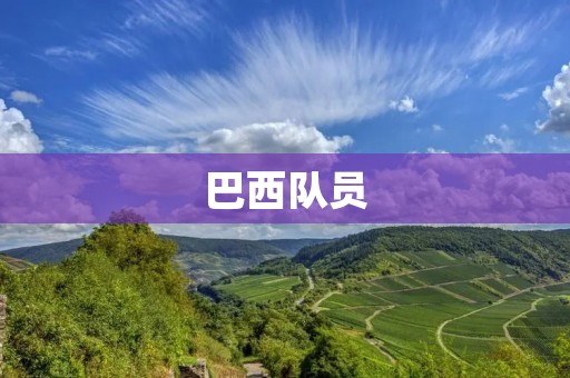 巴西队员：足球世界的精英