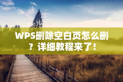 WPS删除空白页怎么删?详细教程来了!