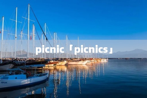 picnic「picnics」