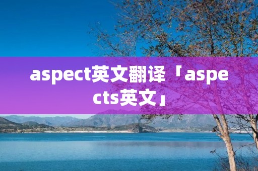 aspect英文翻译「aspects英文」