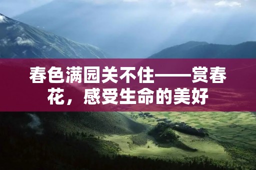 春色满园关不住——赏春花,感受生命的美好
