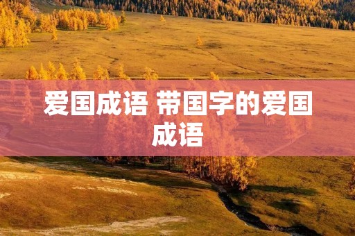 爱国成语 带国字的爱国成语 爱国成语 带国字的爱国成语