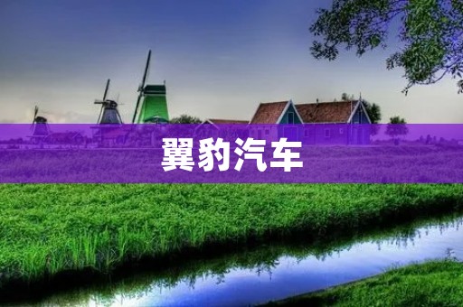 翼豹汽车：领略未来的驾驭感受