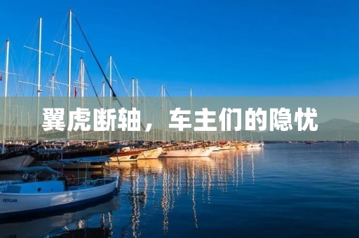 翼虎断轴，车主们的隐忧