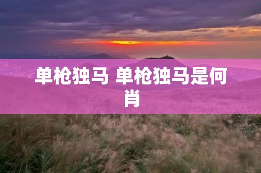 单枪独马 单枪独马是何肖