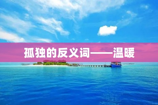 孤独的反义词——温暖