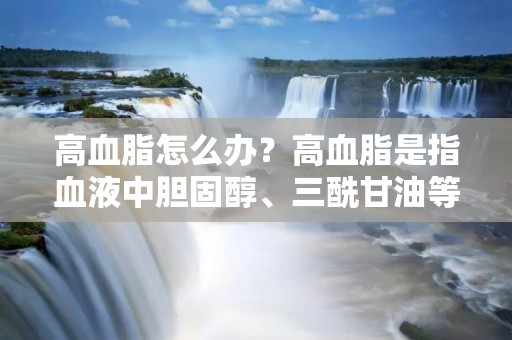 高血脂怎么办?高血脂是指血液中胆固醇、三酰甘油等脂质物质含量过高的一种疾病。如果不及时治疗,会增加心脑血管疾病的风险,甚至导致心脏病、中风等严重后果。那么,怎样才能有效降低高血脂呢? 高血脂怎么办?高血脂是指血液中胆固醇、三酰甘油等脂质物质含量过高的一种疾病。如果不及时治疗,会增加心脑血管疾病的风险,甚至导致心脏病、中风等严重后果。那么,怎样才能有效降低高血脂呢?