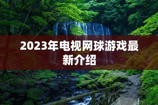 2023年电视网球游戏最新介绍