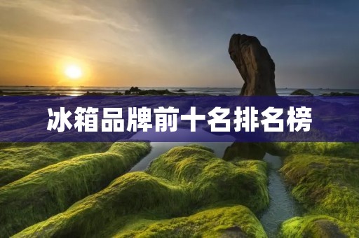 冰箱品牌前十名排名榜：家电界的佼佼者