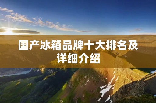 国产冰箱品牌十大排名及详细介绍