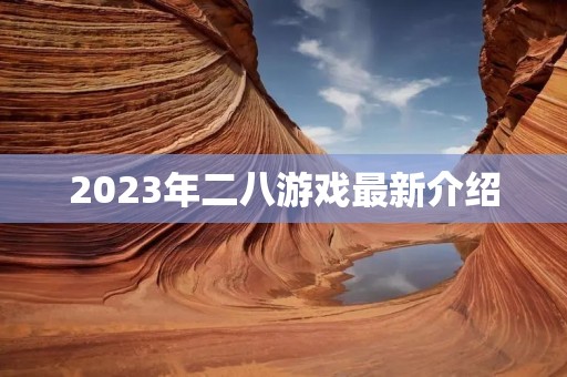 2023年二八游戏最新介绍
