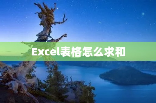 Excel表格怎么求和