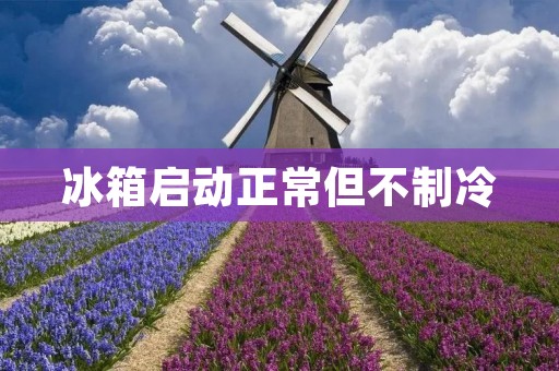冰箱启动正常但不制冷：可能的原因及解决方法