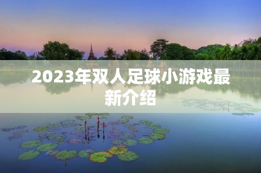 2023年双人足球小游戏最新介绍