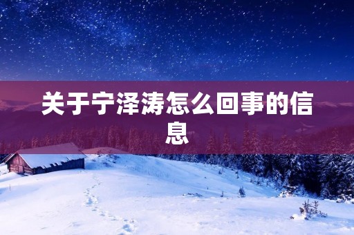关于宁泽涛怎么回事的信息