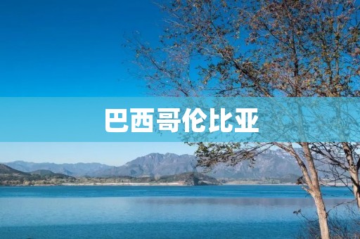 巴西哥伦比亚：南美洲的两个经济强国