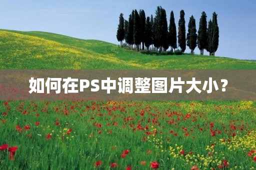 如何在PS中调整图片大小?