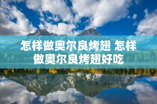 怎样做奥尔良烤翅 怎样做奥尔良烤翅好吃 怎样做奥尔良烤翅 怎样做奥尔良烤翅好吃