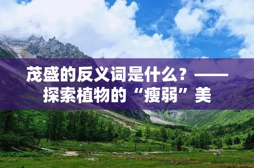 茂盛的反义词是什么?——探索植物的“瘦弱”美