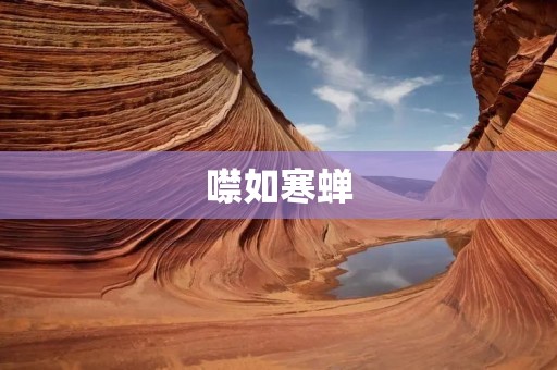 噤如寒蝉：沉默背后的哲思