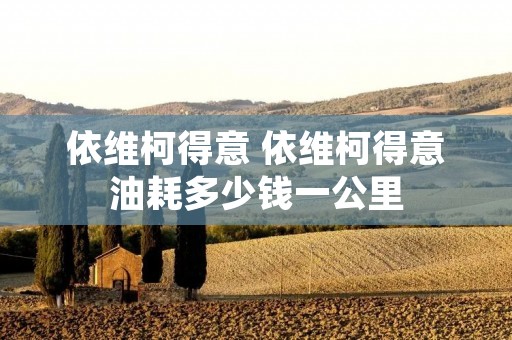 依维柯得意 依维柯得意油耗多少钱一公里