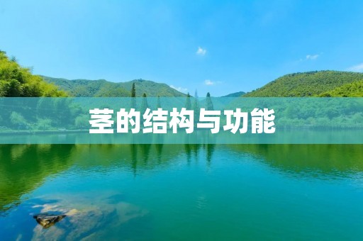 茎的结构与功能 茎的结构与功能