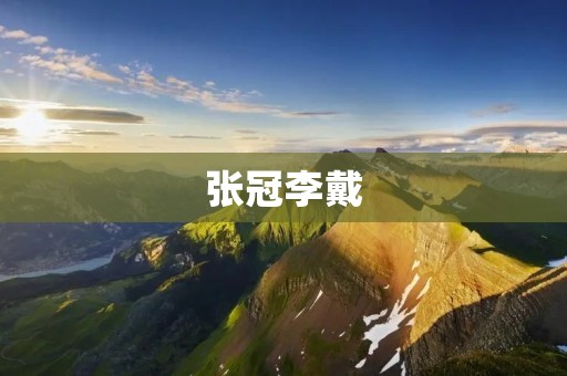 张冠李戴:现实中的常见问题与应对策略