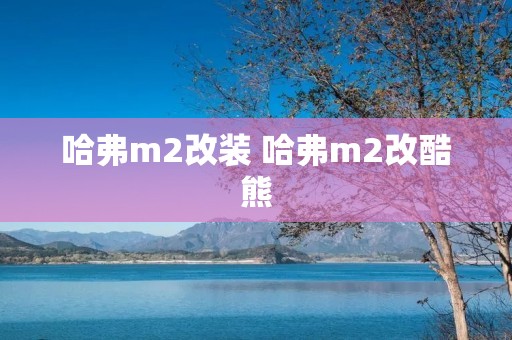 哈弗m2改装 哈弗m2改酷熊