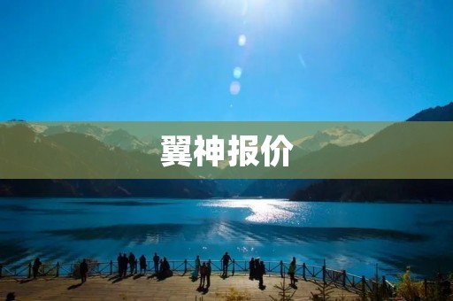 翼神报价：全方位解读翼神报价系统