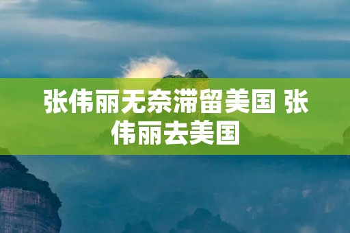张伟丽无奈滞留美国 张伟丽去美国