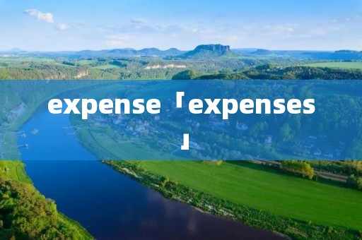 expense「expenses」