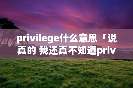 privilege什么意思「说真的 我还真不知道privilege的意思」 privilege什么意思「说真的 我还真不知道privilege的意思」