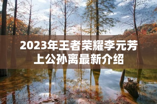 2023年王者荣耀李元芳上公孙离最新介绍