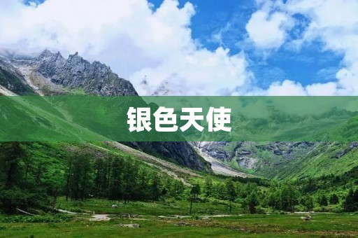 银色天使:一款优秀的护肤品牌