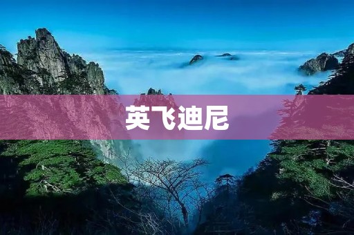 英飞迪尼：一场变革的创新之旅