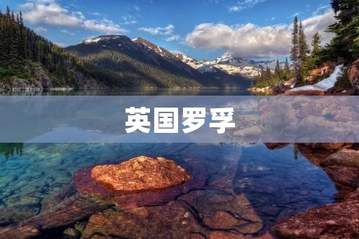 英国罗孚：一家历史悠久的汽车制造商