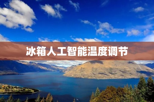 冰箱人工智能温度调节：科技让生活更智能