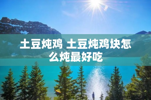 土豆炖鸡 土豆炖鸡块怎么炖最好吃