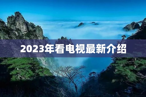 2023年看电视最新介绍