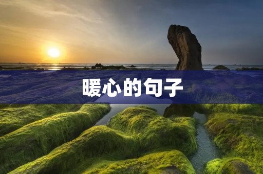 暖心的句子:温暖心灵的小确幸