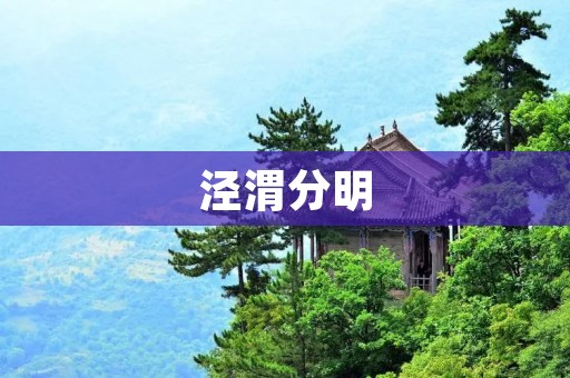 泾渭分明：不同的世界、不同的人生